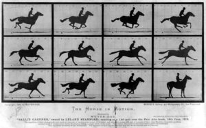 Muybridge: "The Horse In Motion." Imagem de domínio público -The Library of Congress Prints and Photographs Division.